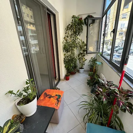 Modern Apartment For Rent Apartment